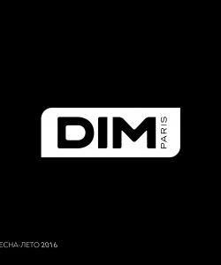 Dim - Winter 2016